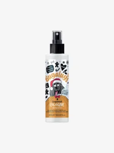 Christmas Edition - Shampoo & Cologne Gingerbread