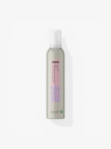 Project Definition Mousse